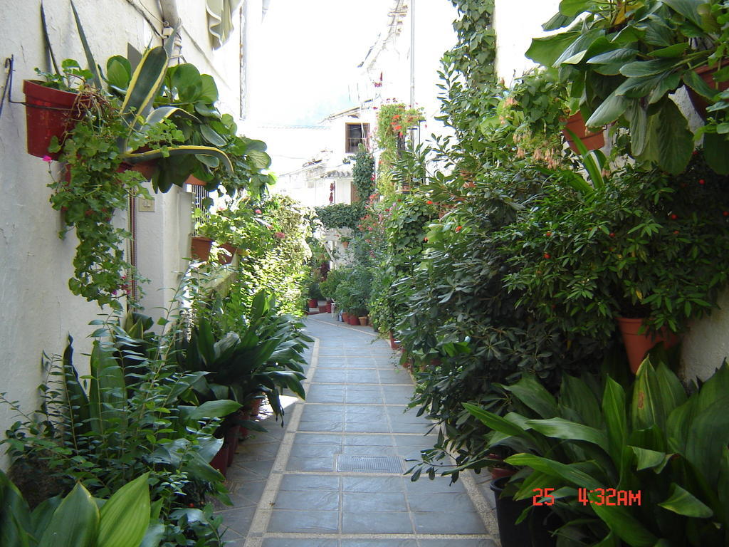 Ruralguejar Apartamento Exterior foto